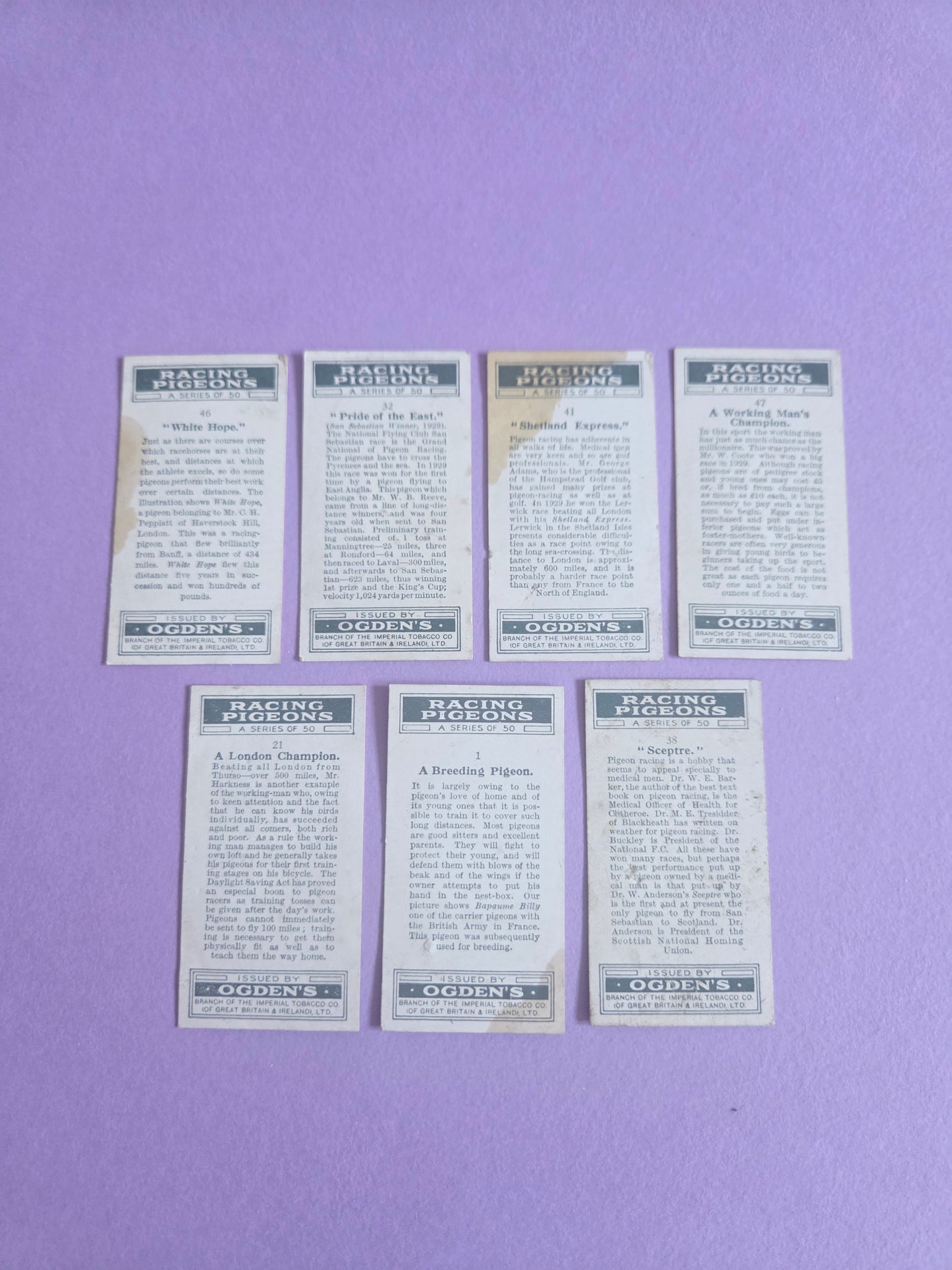 Vintage Racing Pigeons Cigarette Tea Cards Bundle 1 – Collectible Ephemera for Junk Journals & Scrapbooking