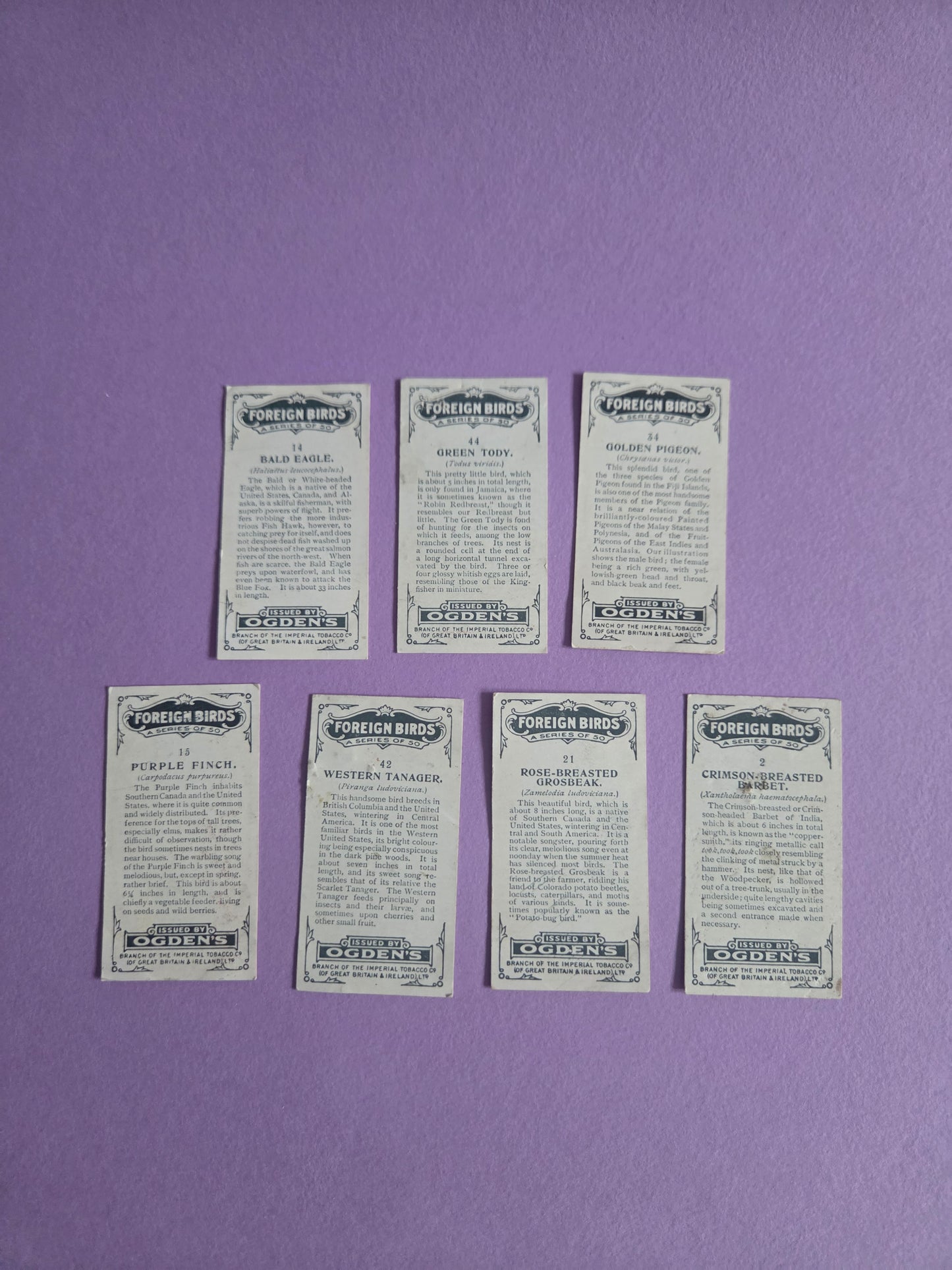 Vintage Tropical Bird Cigarette Tea Cards Bundle 3 – Foreign Birds Collection Ephemera for Junk Journals & Scrapbooking