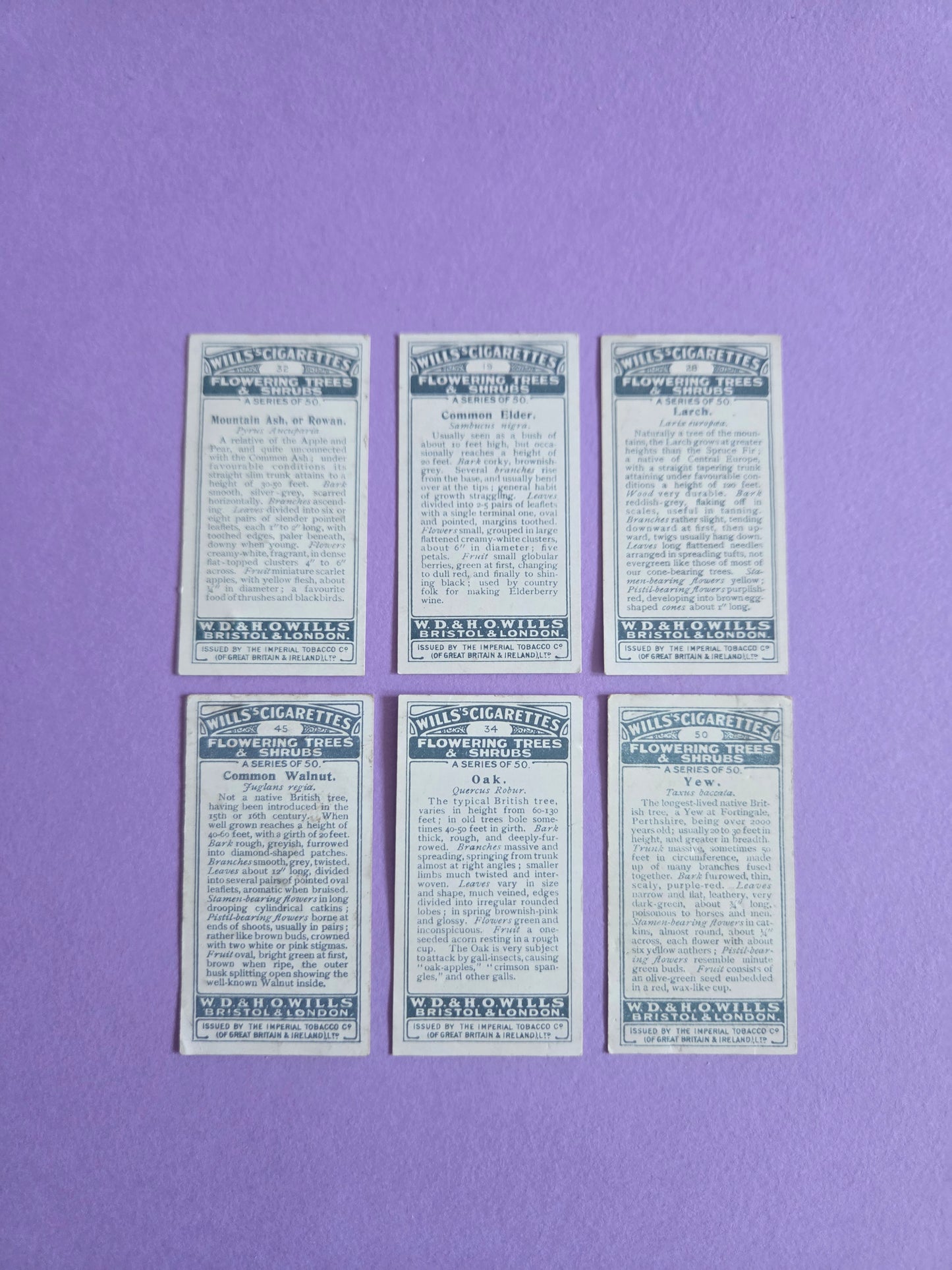 Vintage Flowering Trees & Shrubs Cigarette Tea Cards Bundle 1 – Botanical Ephemera for Junk Journals & Scrapbooks