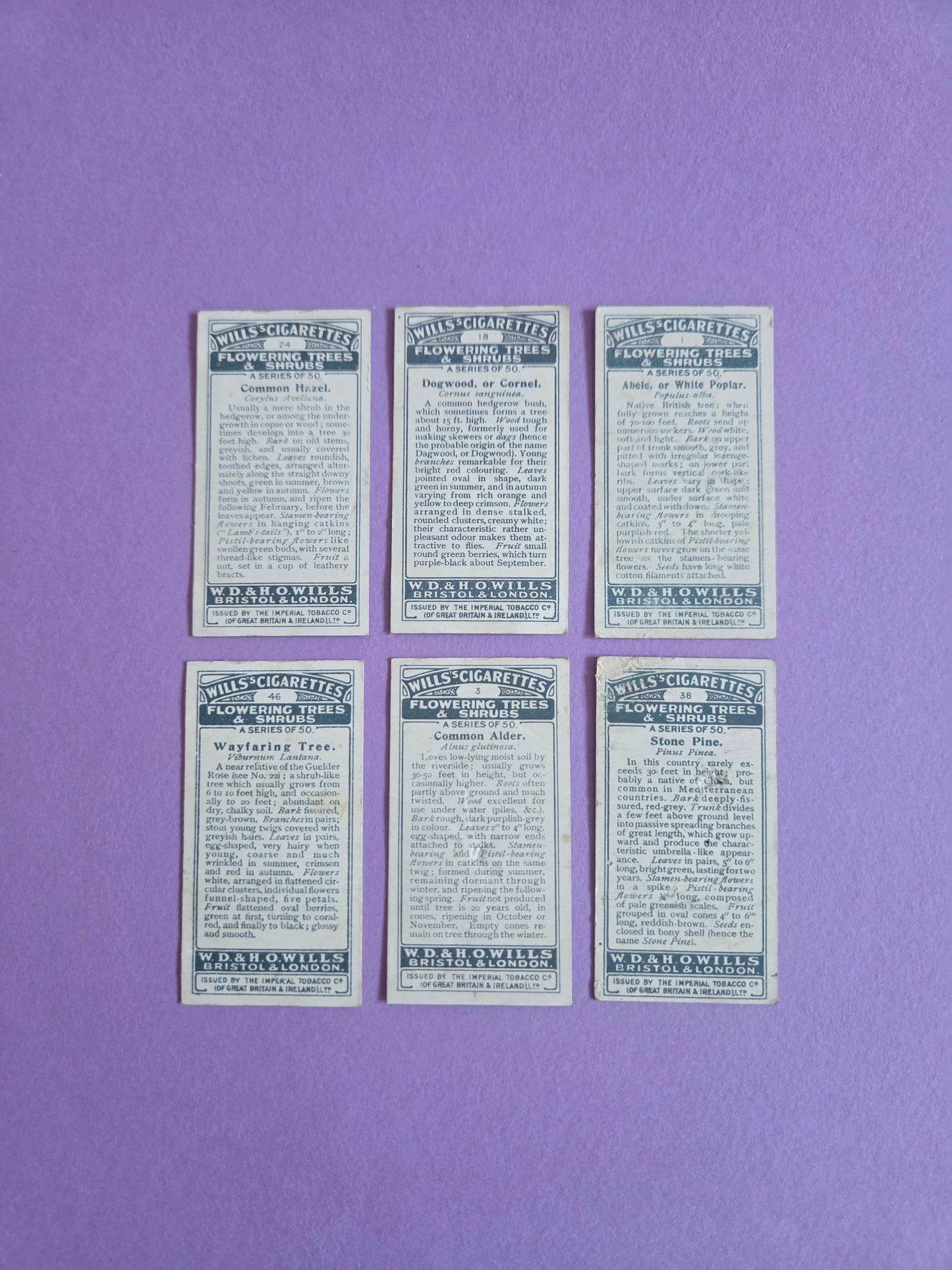 Vintage Flowering Trees & Shrubs Cigarette Tea Cards Bundle 5 – Botanical Ephemera for Junk Journals & Scrapbooks