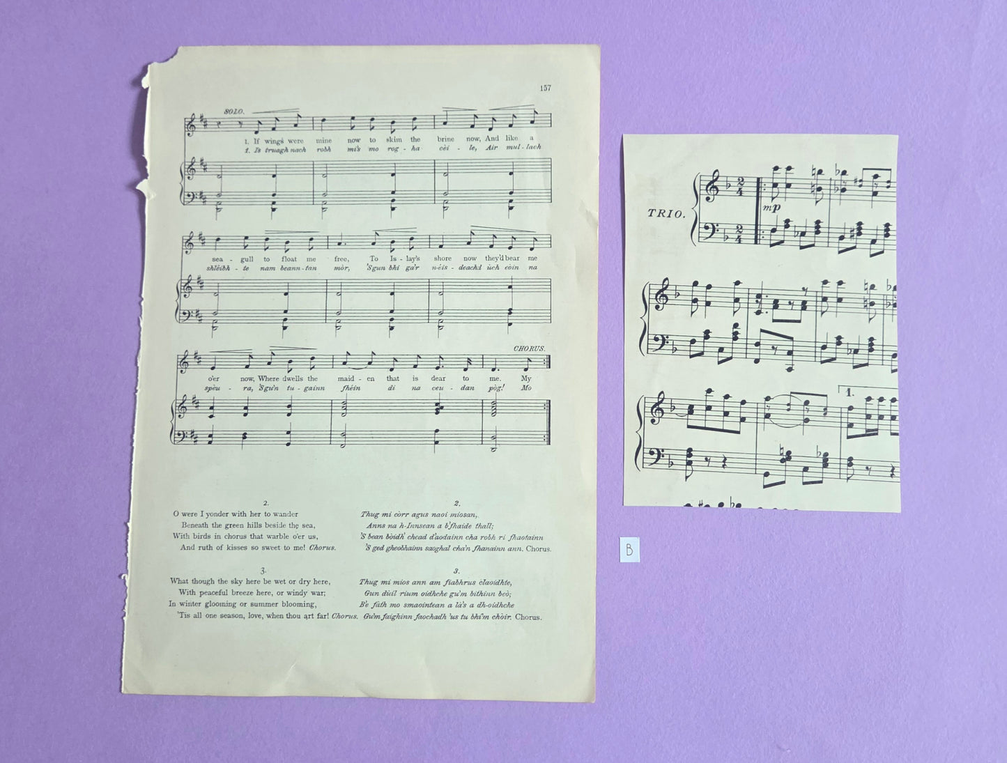 Vintage Music Sheet Ephemera Set B | Authentic Antique Hymn & Song Paper Pieces for Junk Journals & Craft Projects | Limited Edition