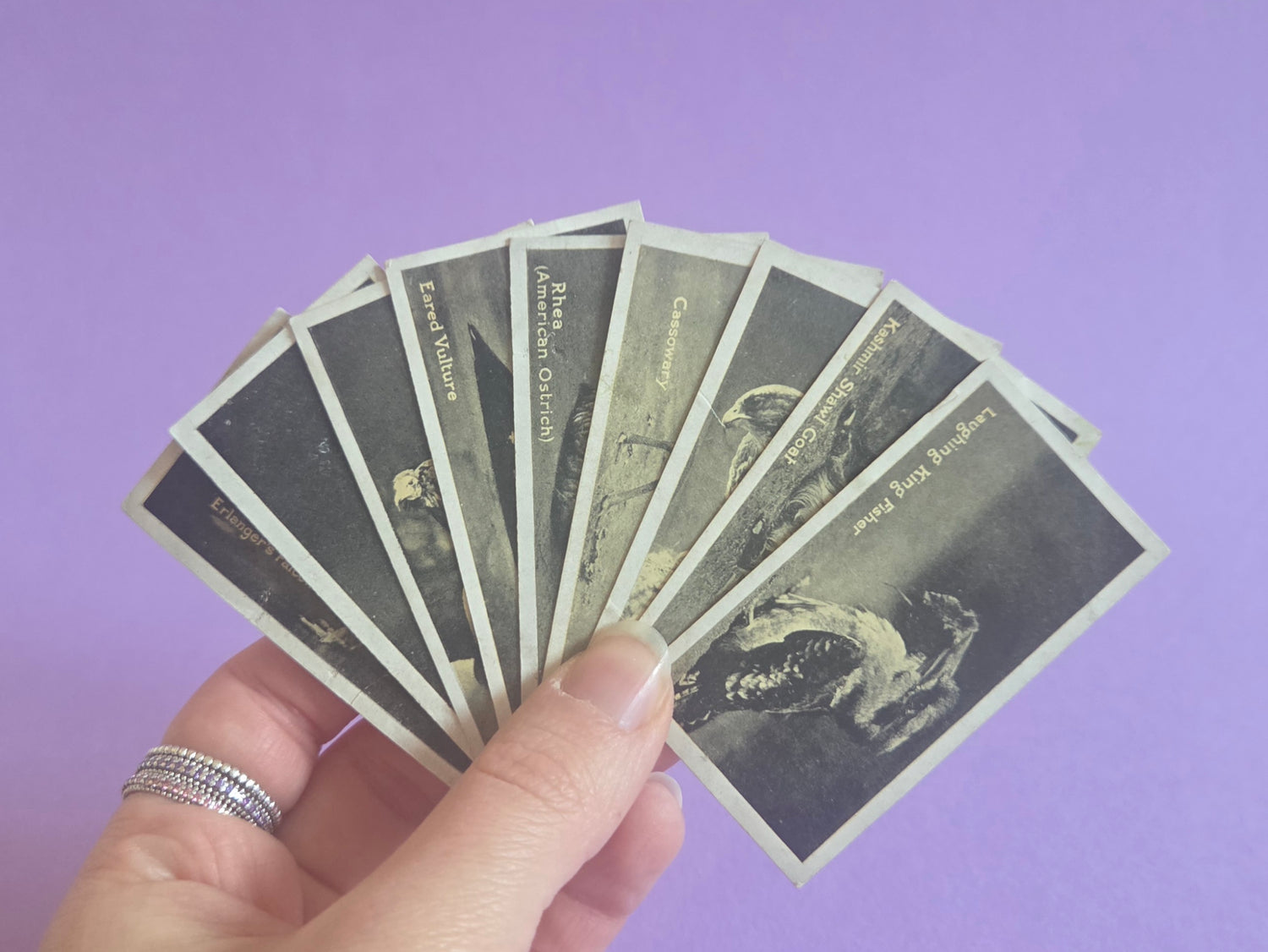 Ephemera