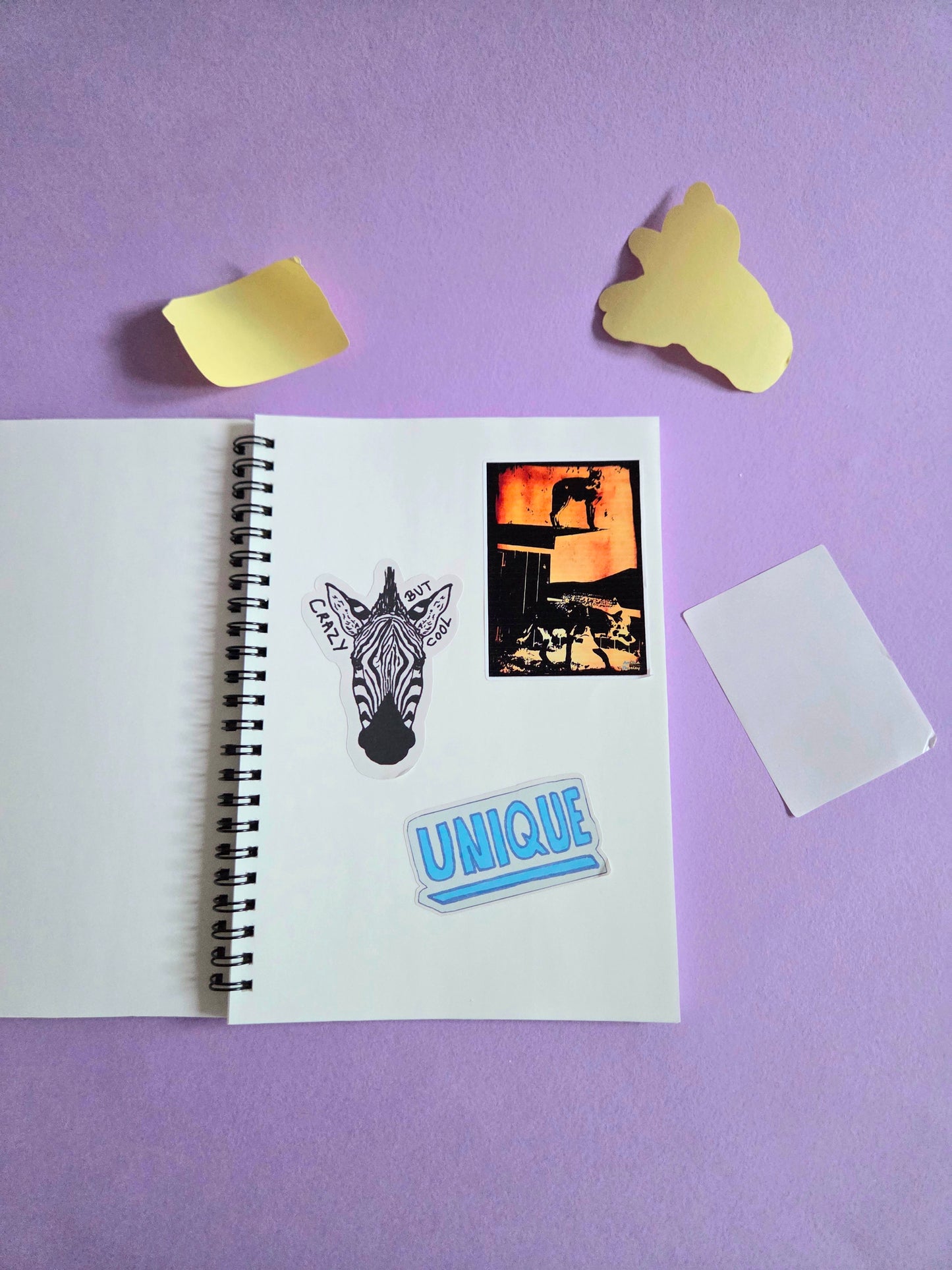 A5 "Scrapbook Obsessed" Reusable Sticker Book – 50 Page Wax Release Paper Album for Organising Stickers | Spiral Sticker Storage Notebook