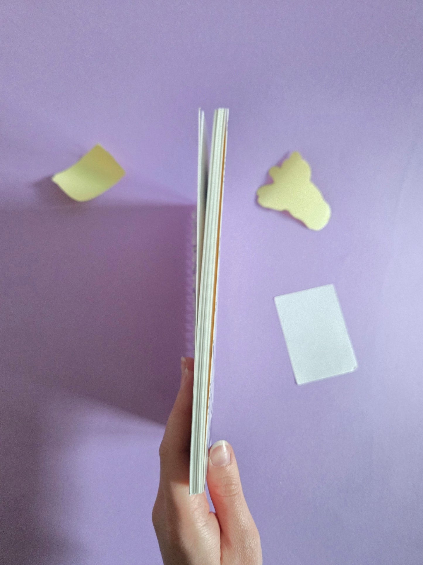 A5 "Sticker Stash" Reusable Sticker Book – 50 Page Wax Release Paper Album for Organising Stickers | Spiral Sticker Storage Notebook