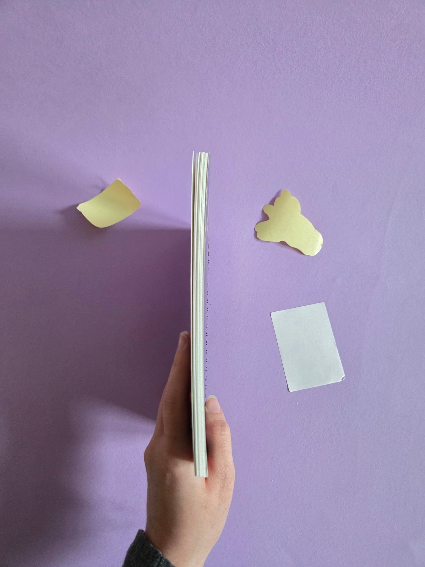 A5 "Scrapbook Obsessed" Reusable Sticker Book – 50 Page Wax Release Paper Album for Organising Stickers | Spiral Sticker Storage Notebook