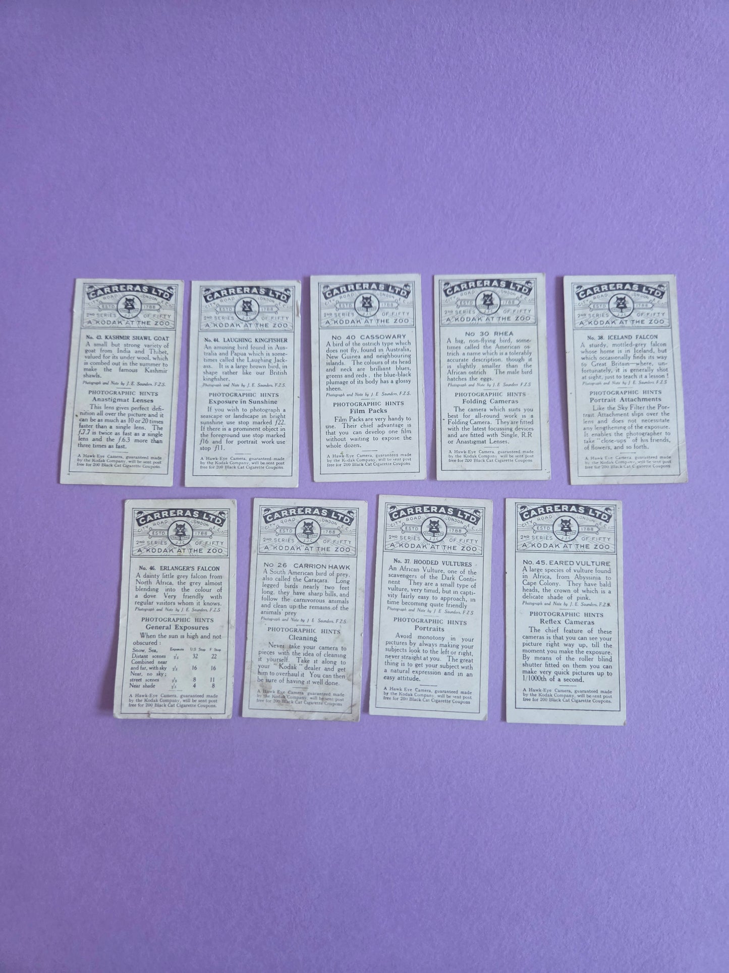 Vintage Zoo Animal Cigarette Tea Cards – Black & White Collectible Ephemera Bundle for Junk Journals & Scrapbooks