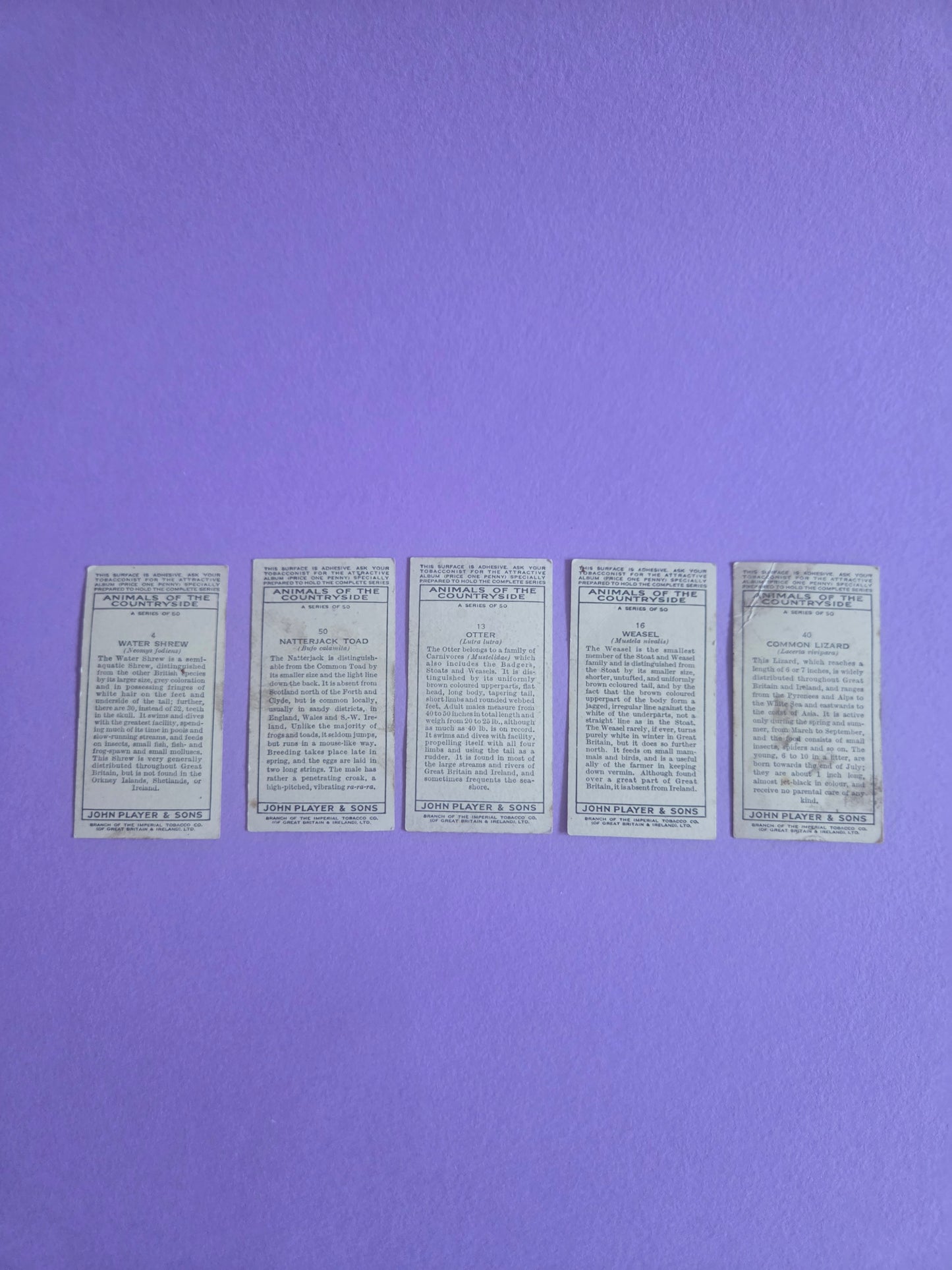 Vintage “Animals of the Countryside” Cigarette Tea Cards Bundle – Otter, Water Shrew, Toad, Weasel, Lizard – Junk Journal Ephemera & Scrapbooking Supplies