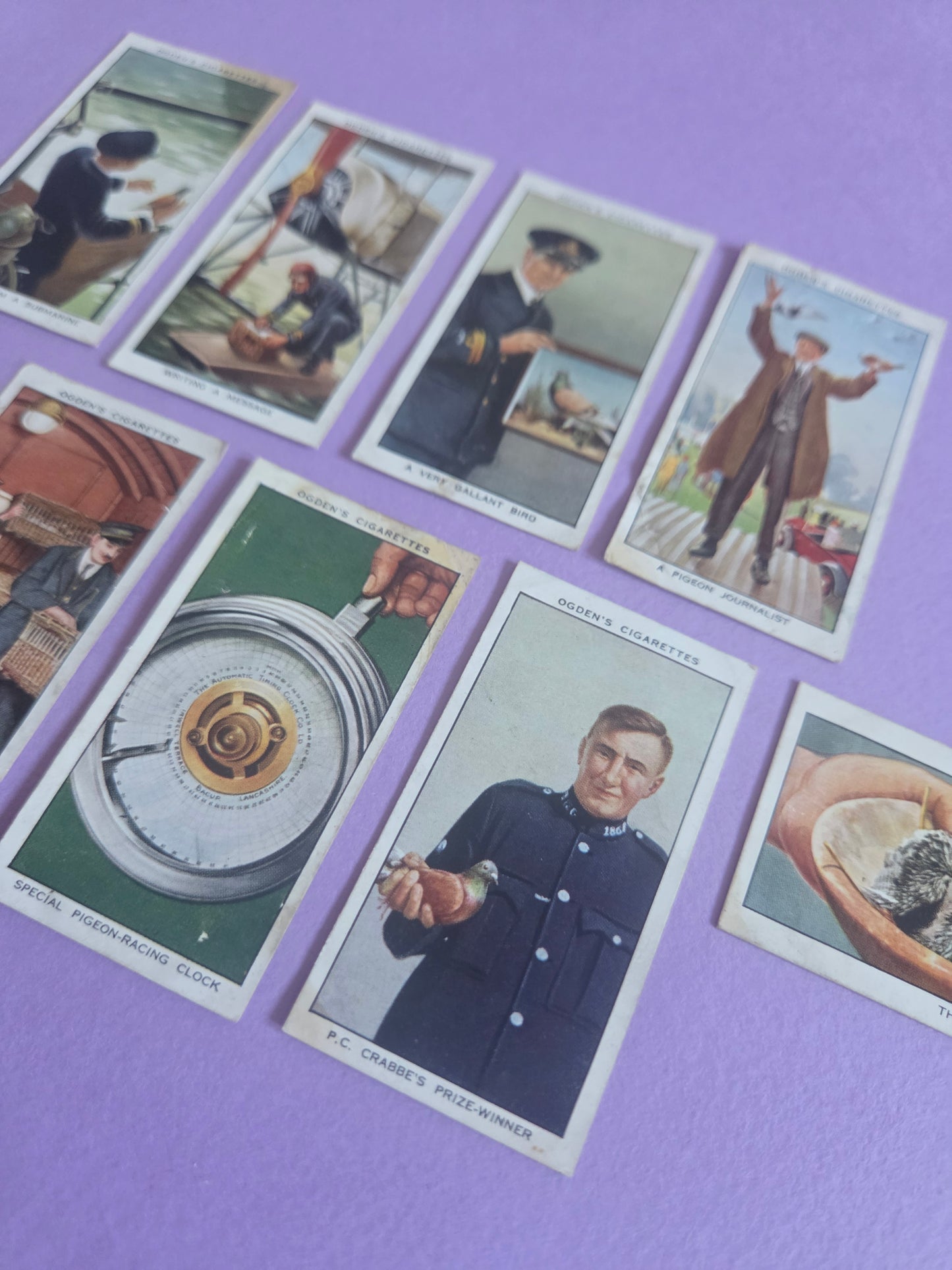 Vintage Ogden’s Cigarette Cards Bundle – Pigeon Keeping & Racing Pigions Theme Ephemera for Junk Journals & Scrapbooking Bundle 2