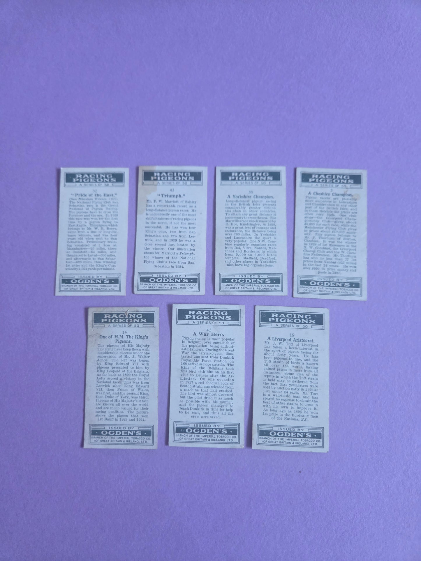 Vintage Racing Pigeons Cigarette Tea Cards Bundle 2 – Collectible Ephemera for Junk Journals & Scrapbooking