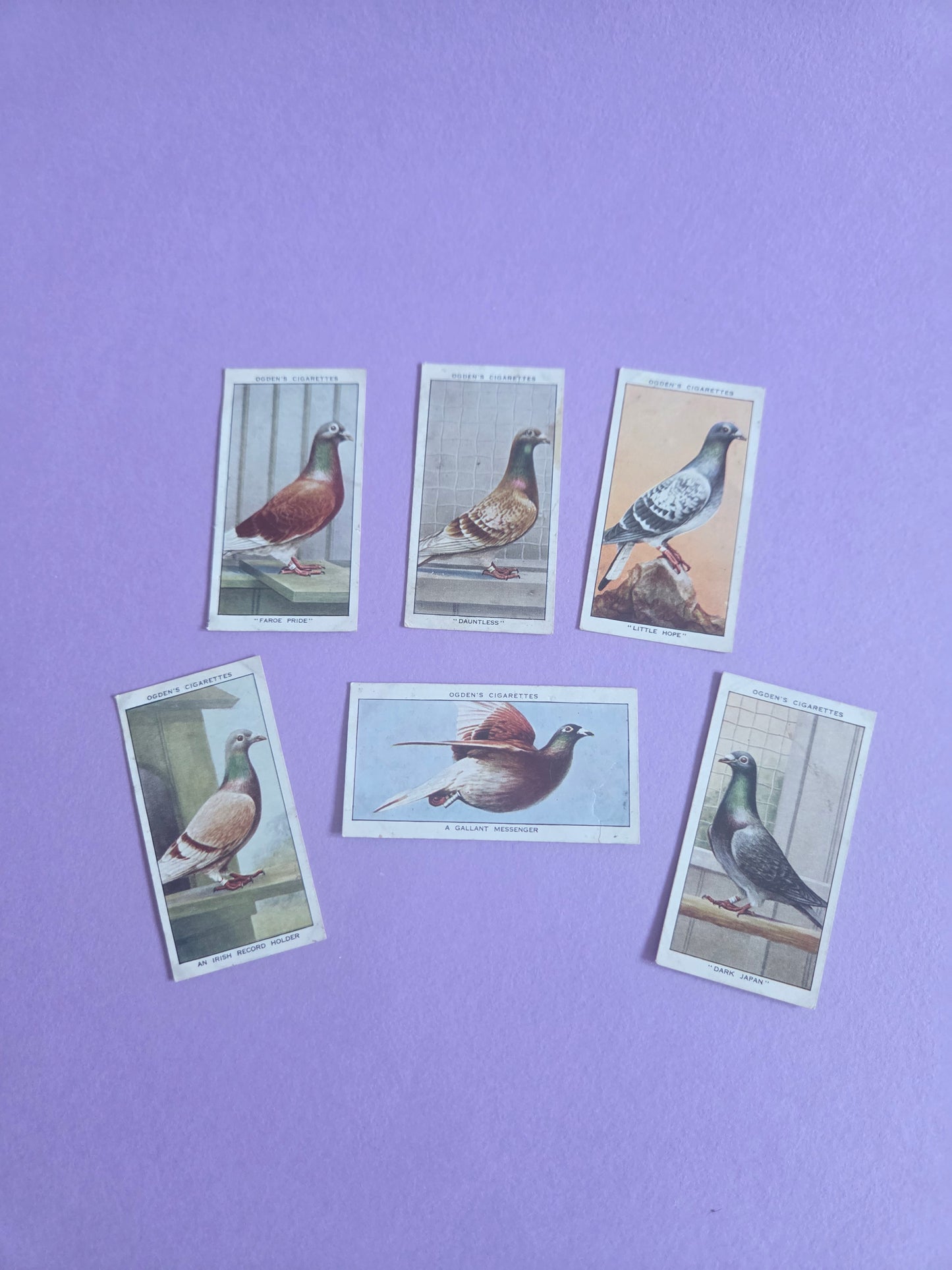 Vintage Racing Pigeons Cigarette Tea Cards Bundle 3 – Collectible Ephemera for Junk Journals & Scrapbooking