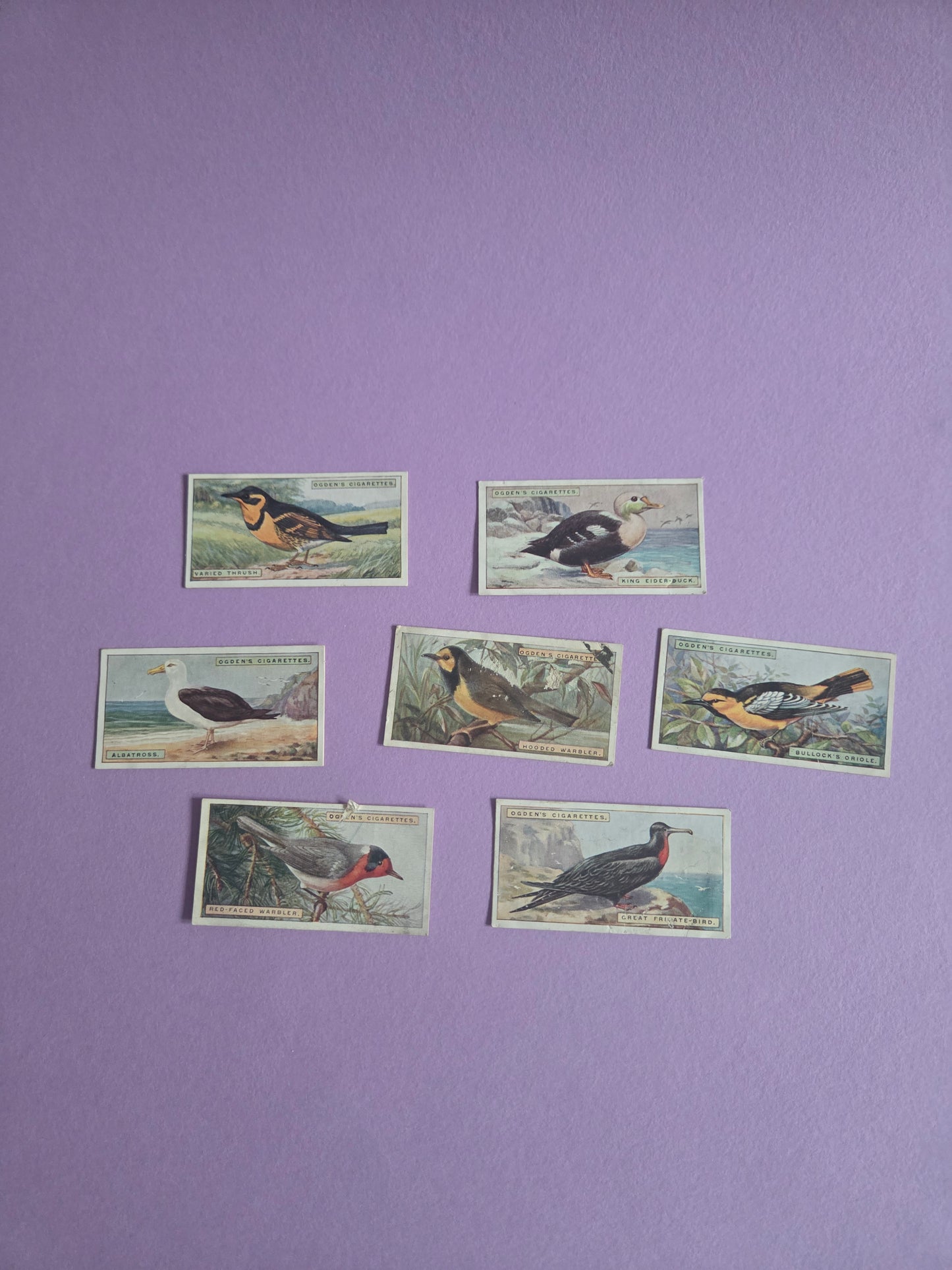 Vintage Tropical Bird Cigarette Tea Cards Bundle 1 – Foreign Birds Collection Ephemera for Junk Journals & Scrapbooking