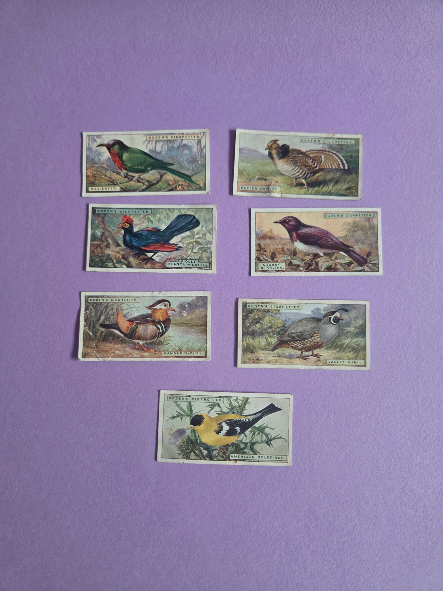Vintage Tropical Bird Cigarette Tea Cards Bundle 2 – Foreign Birds Collection Ephemera for Junk Journals & Scrapbooking