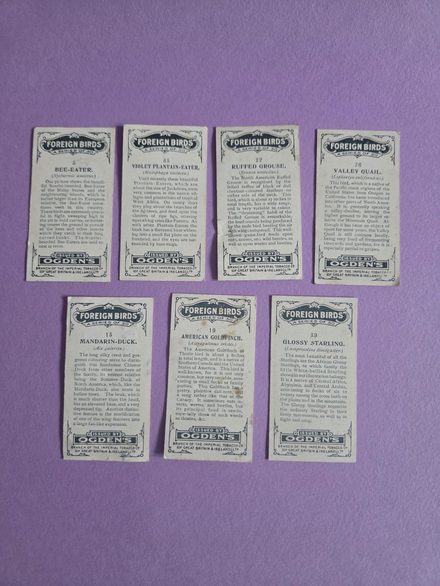 Vintage Tropical Bird Cigarette Tea Cards Bundle 2 – Foreign Birds Collection Ephemera for Junk Journals & Scrapbooking