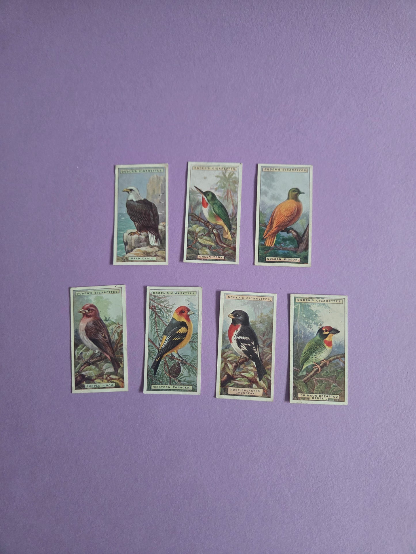 Vintage Tropical Bird Cigarette Tea Cards Bundle 3 – Foreign Birds Collection Ephemera for Junk Journals & Scrapbooking