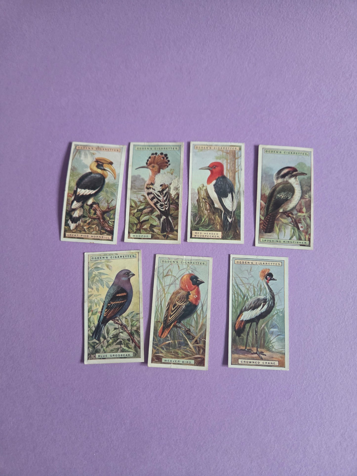 Vintage Tropical Bird Cigarette Tea Cards Bundle 4 – Foreign Birds Collection Ephemera for Junk Journals & Scrapbooking