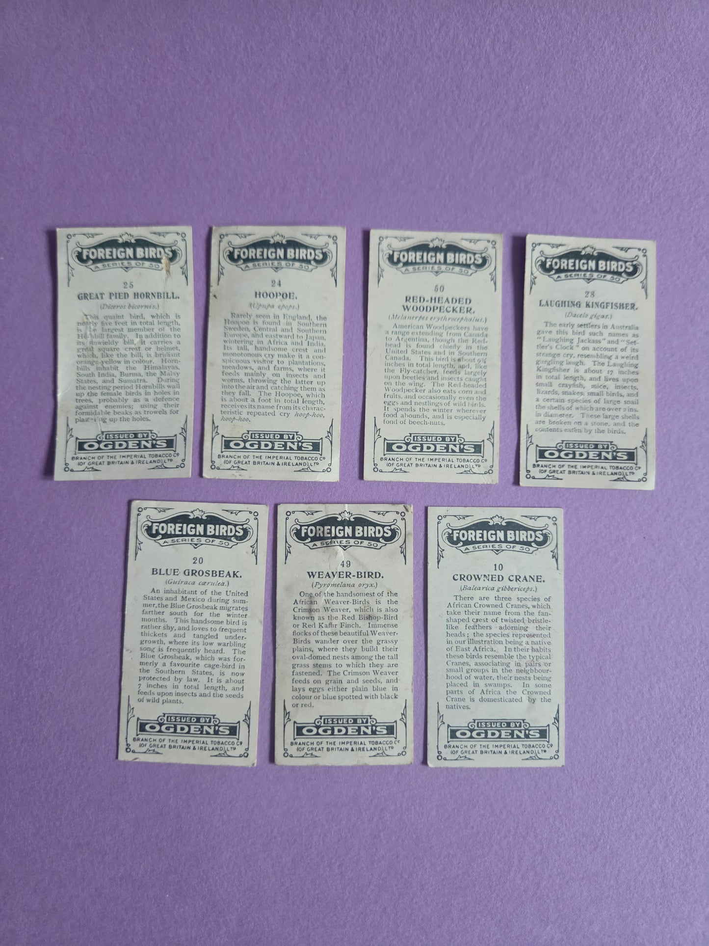 Vintage Tropical Bird Cigarette Tea Cards Bundle 4 – Foreign Birds Collection Ephemera for Junk Journals & Scrapbooking