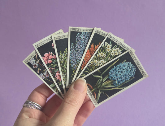Vintage Botanical Flower Cigarette Tea Cards Bundle 1 – Wills “Flower Culture in Pots” – Junk Journaling & Scrapbooking Ephemera Bundle