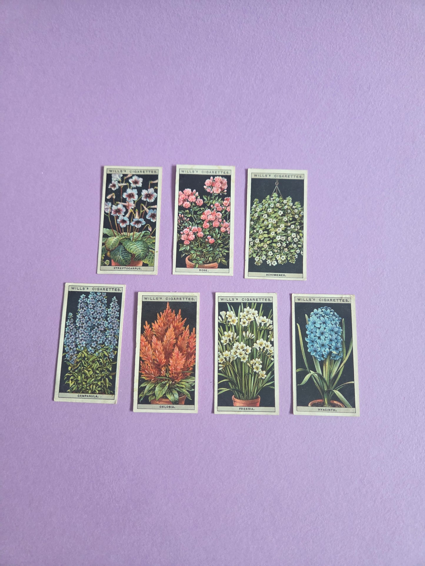Vintage Botanical Flower Cigarette Tea Cards Bundle 1 – Wills “Flower Culture in Pots” – Junk Journaling & Scrapbooking Ephemera Bundle