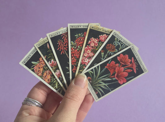 Vintage Botanical Flower Cigarette Tea Cards Bundle 2 – Wills “Flower Culture in Pots” – Junk Journaling & Scrapbooking Ephemera Bundle