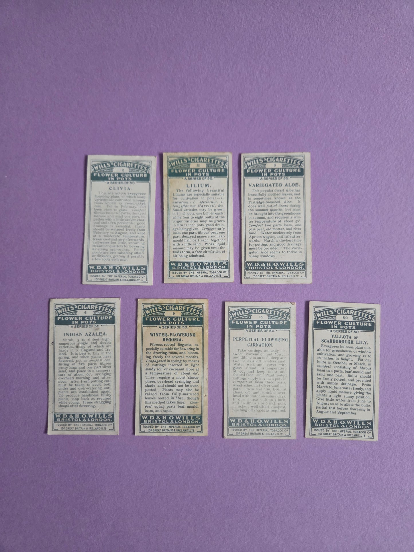 Vintage Botanical Flower Cigarette Tea Cards Bundle 2 – Wills “Flower Culture in Pots” – Junk Journaling & Scrapbooking Ephemera Bundle