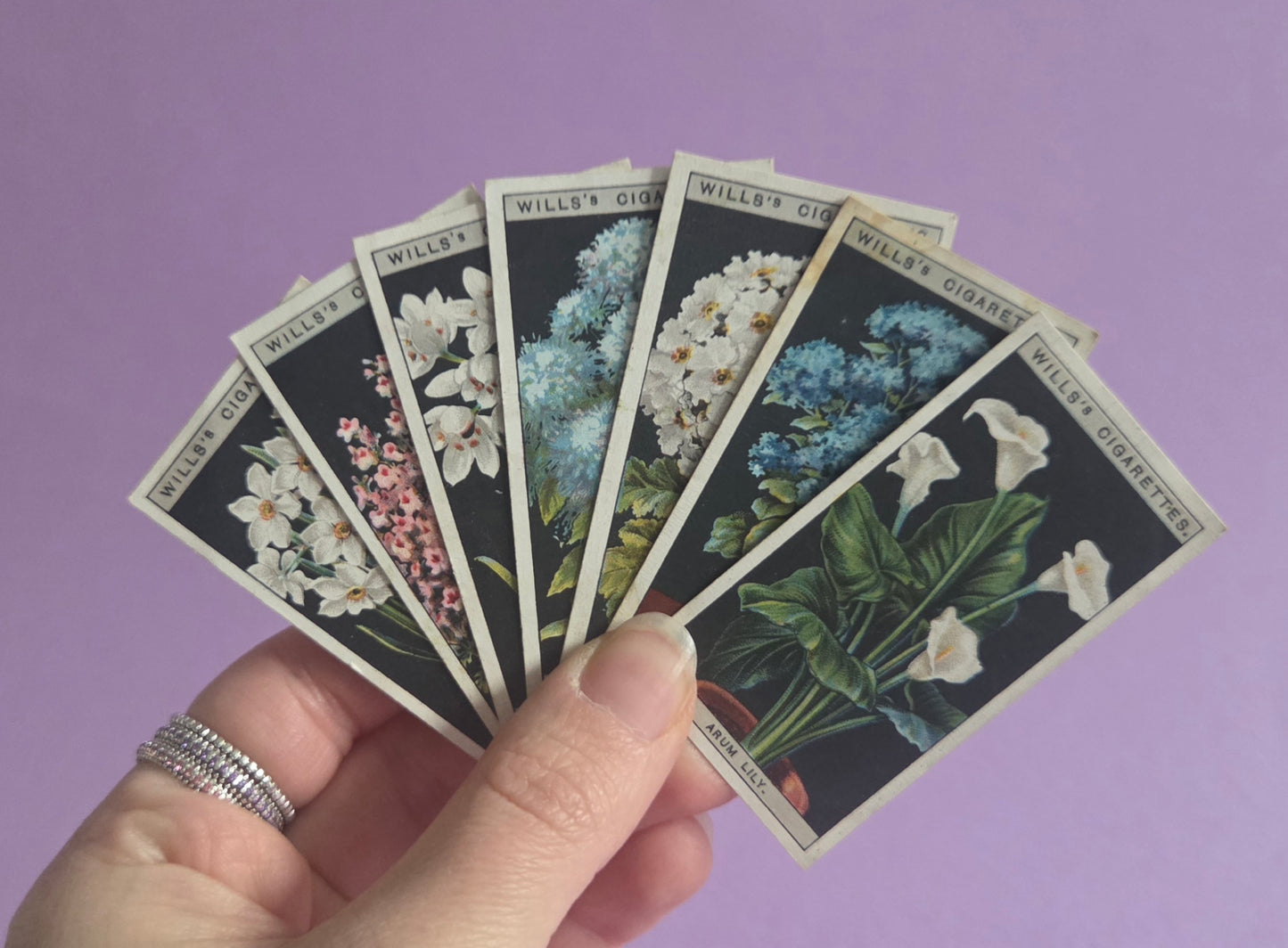 Vintage Botanical Flower Cigarette Tea Cards Bundle 3 – Wills “Flower Culture in Pots” – Junk Journaling & Scrapbooking Ephemera Bundle