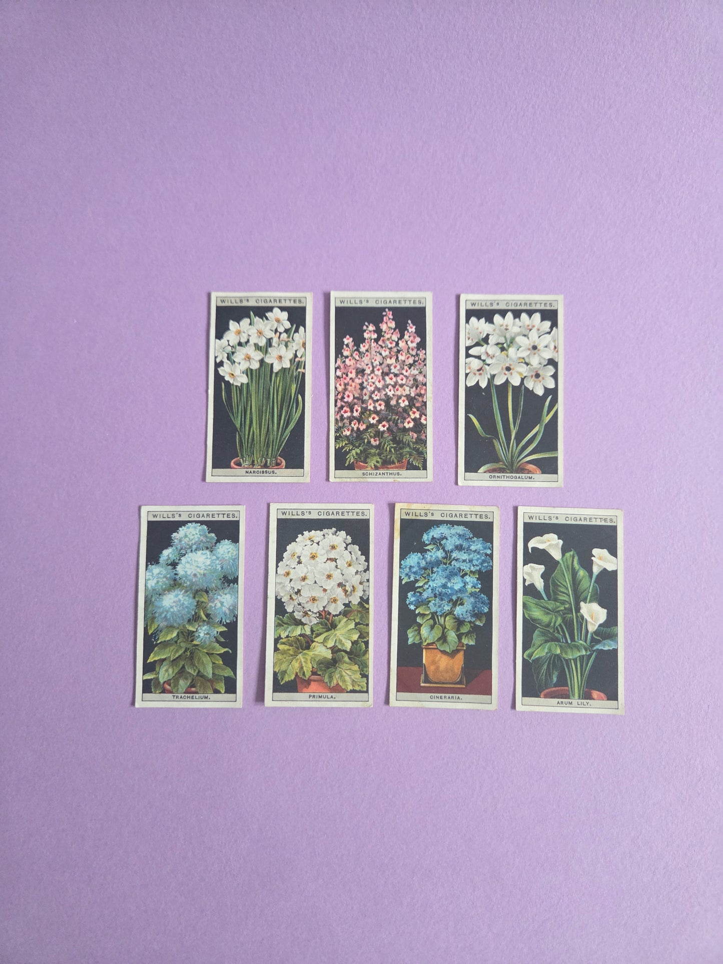 Vintage Botanical Flower Cigarette Tea Cards Bundle 3 – Wills “Flower Culture in Pots” – Junk Journaling & Scrapbooking Ephemera Bundle