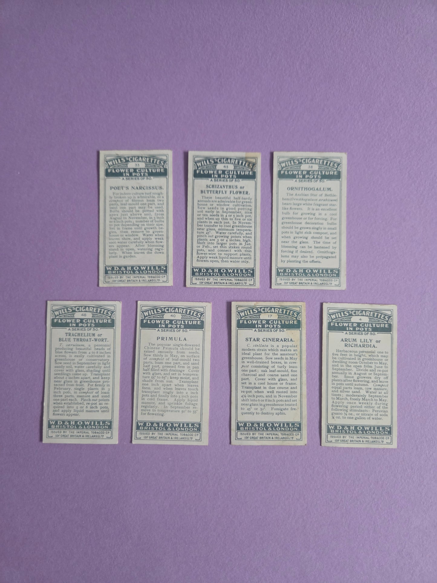 Vintage Botanical Flower Cigarette Tea Cards Bundle 3 – Wills “Flower Culture in Pots” – Junk Journaling & Scrapbooking Ephemera Bundle