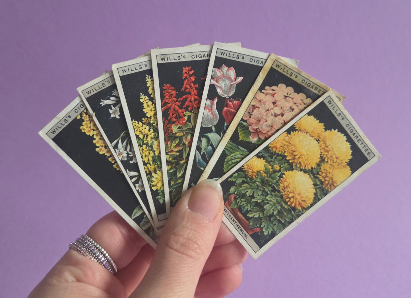 Vintage Botanical Flower Cigarette Tea Cards Bundle 4 – Wills “Flower Culture in Pots” – Junk Journaling & Scrapbooking Ephemera Bundle
