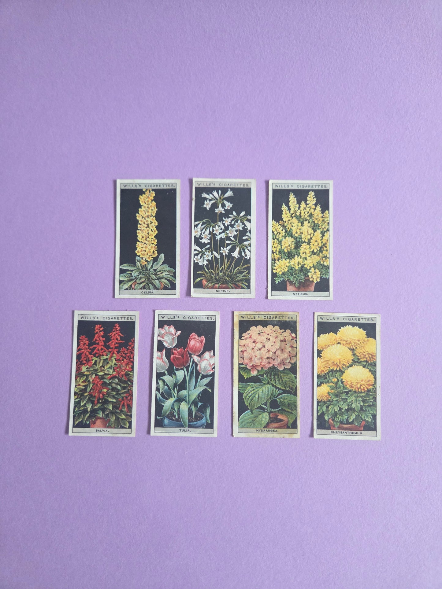 Vintage Botanical Flower Cigarette Tea Cards Bundle 4 – Wills “Flower Culture in Pots” – Junk Journaling & Scrapbooking Ephemera Bundle