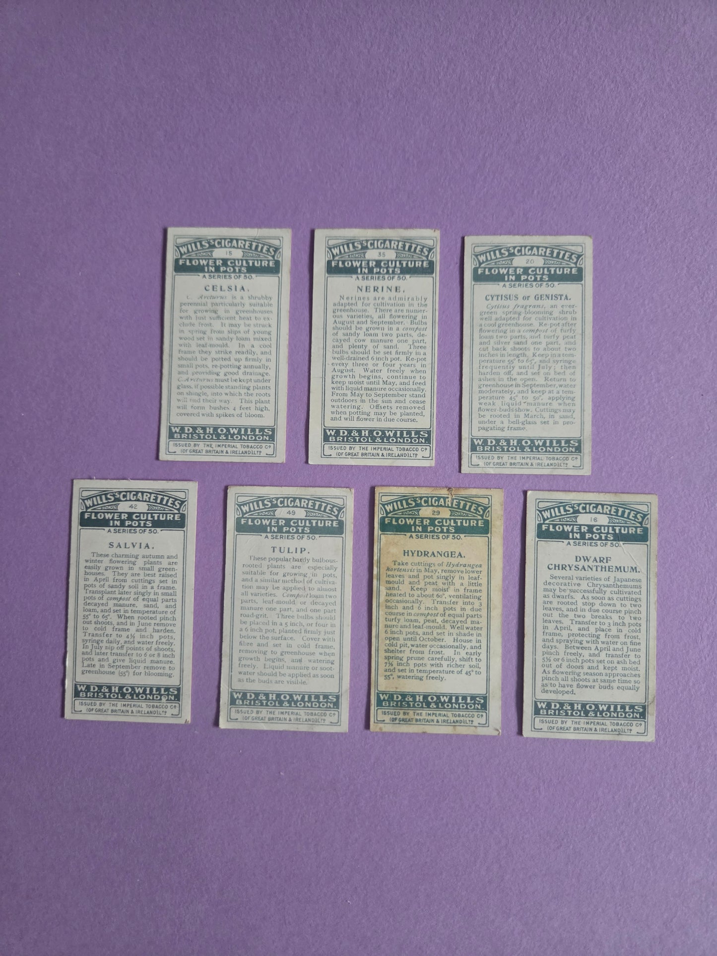 Vintage Botanical Flower Cigarette Tea Cards Bundle 4 – Wills “Flower Culture in Pots” – Junk Journaling & Scrapbooking Ephemera Bundle