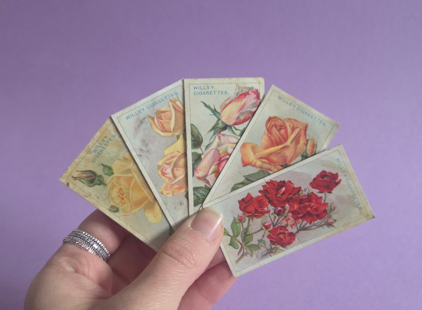 Vintage Rose Cigarette Tea Cards Bundle 1 – Wills “Roses” Collectible Ephemera for Junk Journals & Scrapbooks