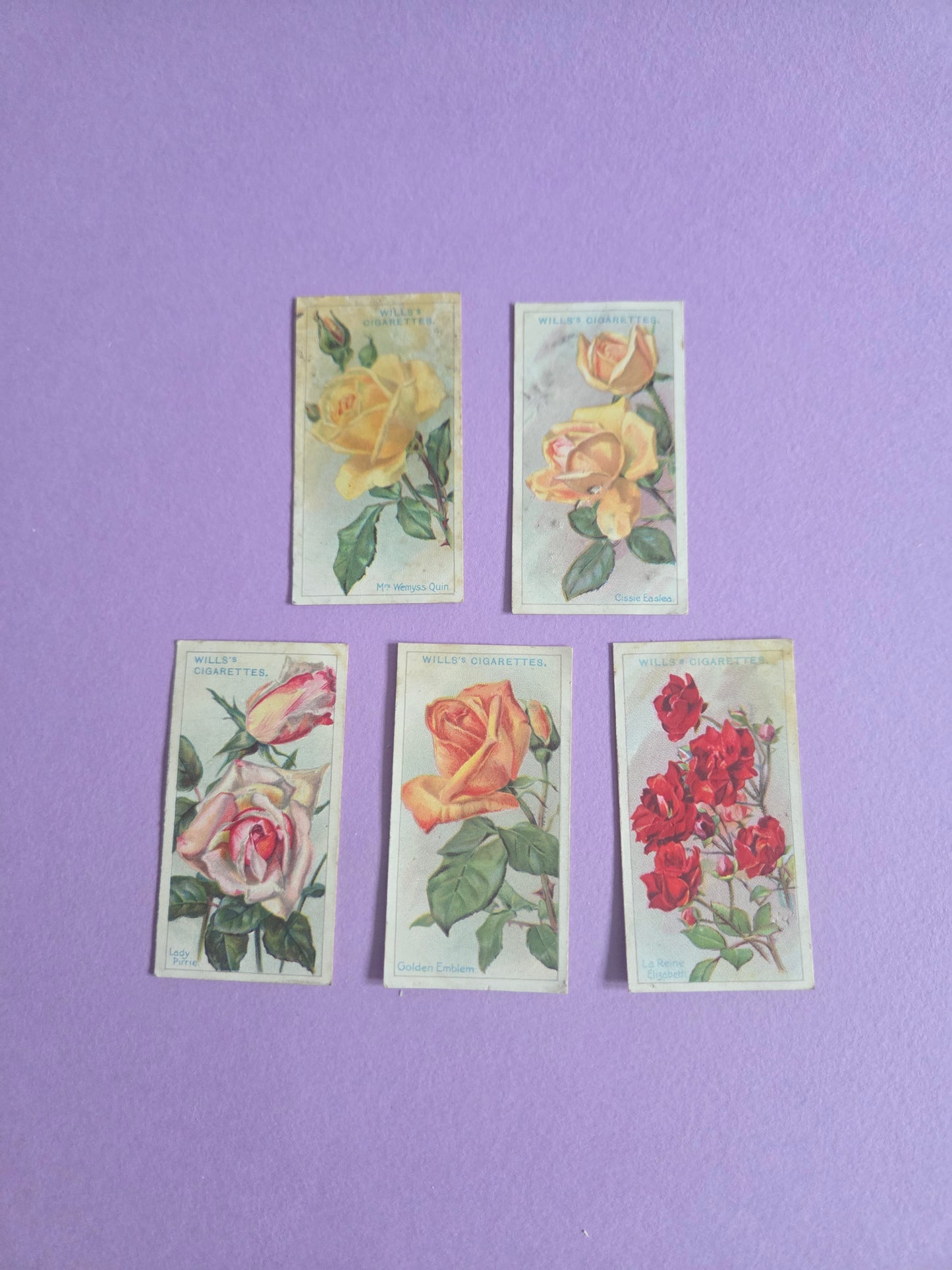 Vintage Rose Cigarette Tea Cards Bundle 1 – Wills “Roses” Collectible Ephemera for Junk Journals & Scrapbooks