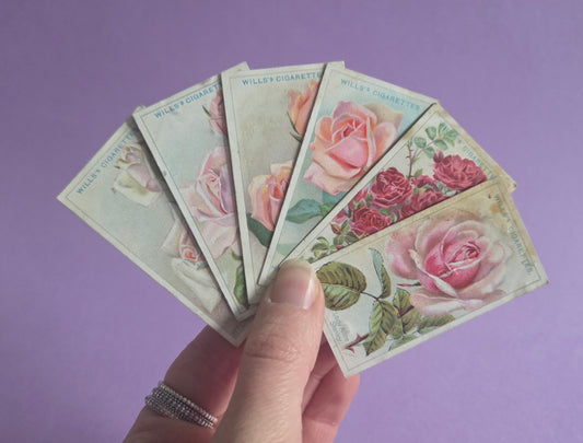 Vintage Rose Cigarette Tea Cards Bundle 2 – Wills “Roses” Collectible Ephemera for Junk Journals & Scrapbooks