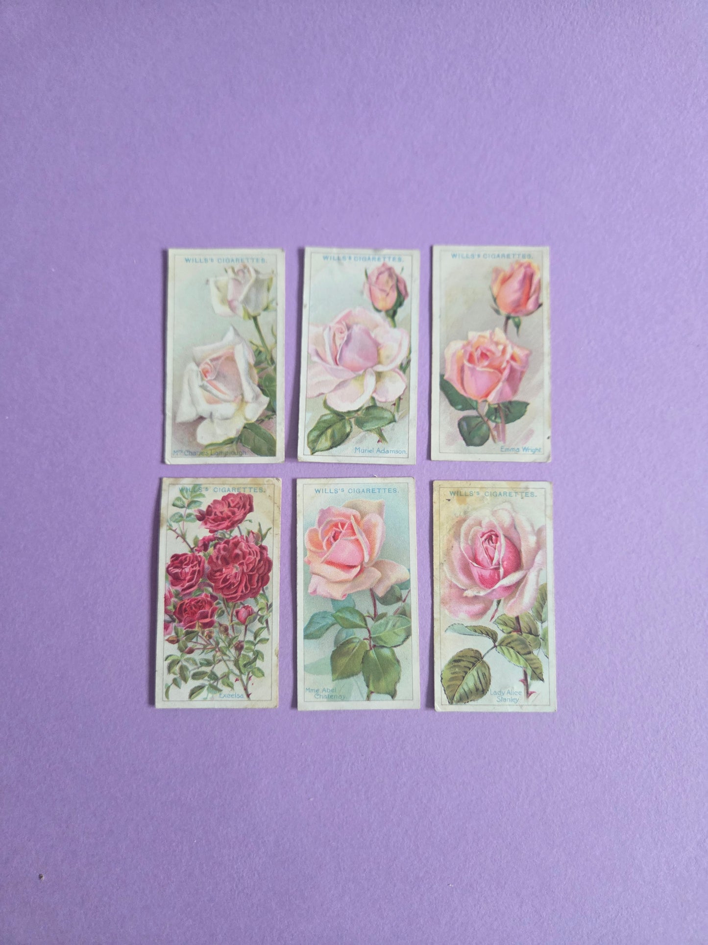 Vintage Rose Cigarette Tea Cards Bundle 2 – Wills “Roses” Collectible Ephemera for Junk Journals & Scrapbooks