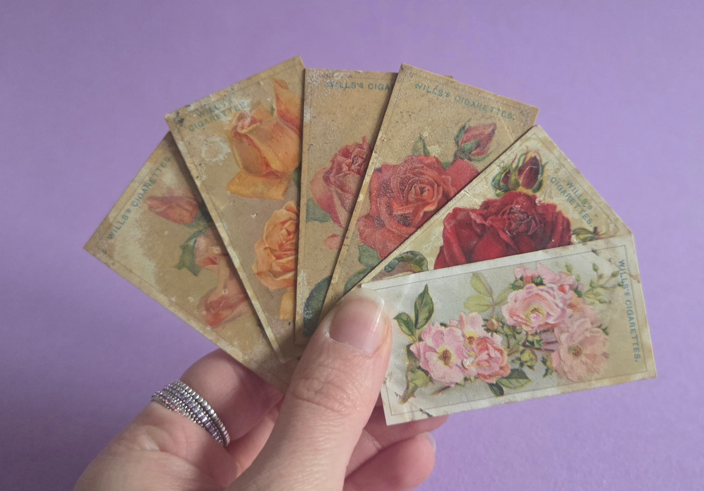 Vintage Rose Cigarette Tea Cards Bundle 3 – Wills “Roses” Collectible Ephemera for Junk Journals & Scrapbooks