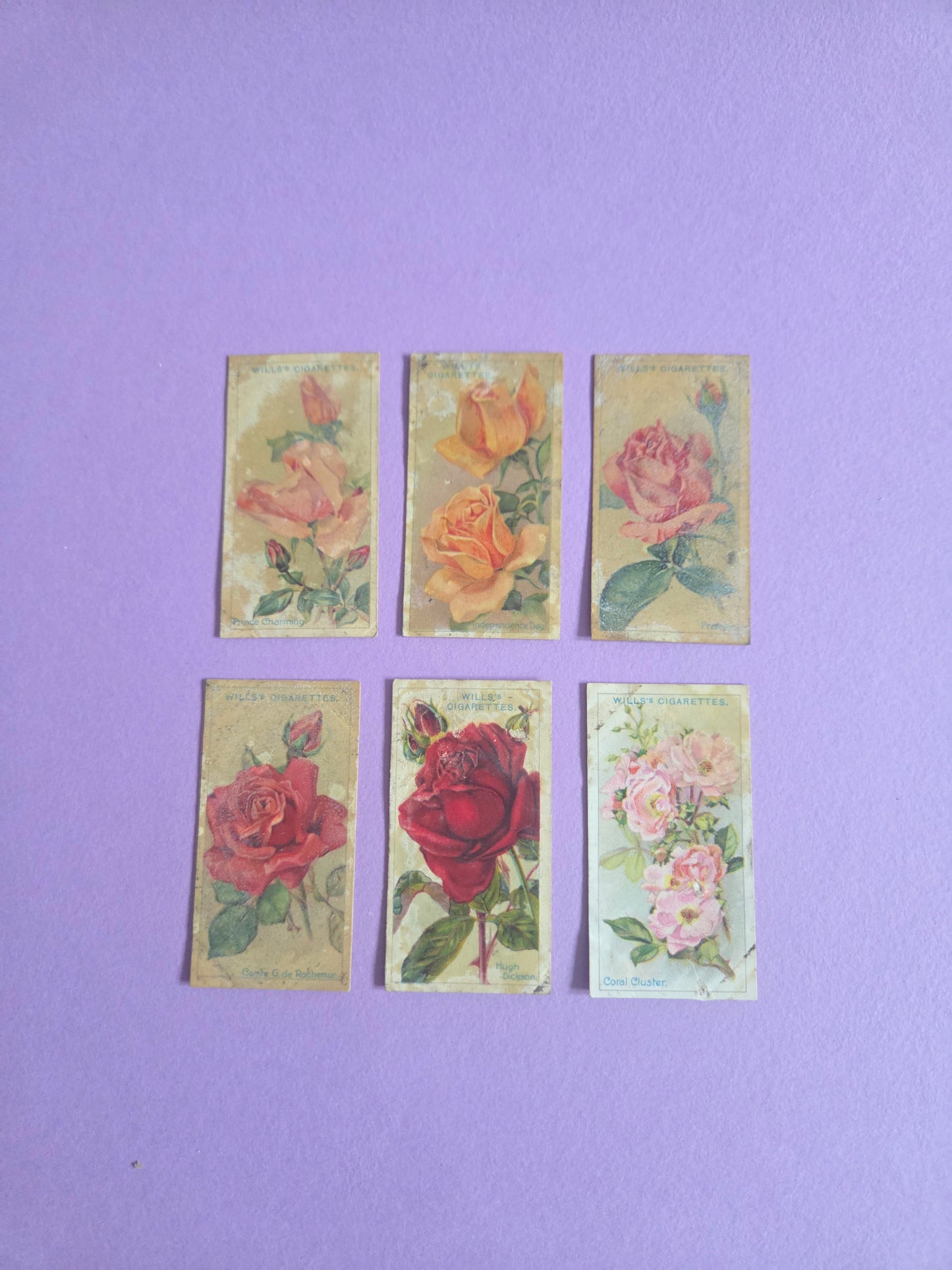 Vintage Rose Cigarette Tea Cards Bundle 3 – Wills “Roses” Collectible Ephemera for Junk Journals & Scrapbooks