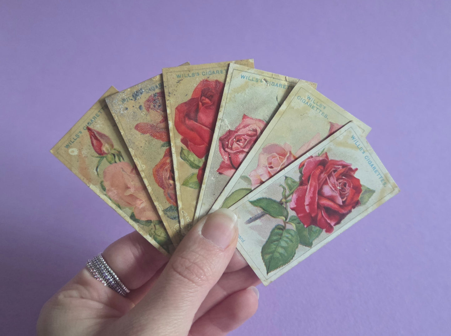 Vintage Rose Cigarette Tea Cards Bundle 4 – Wills “Roses” Collectible Ephemera for Junk Journals & Scrapbooks