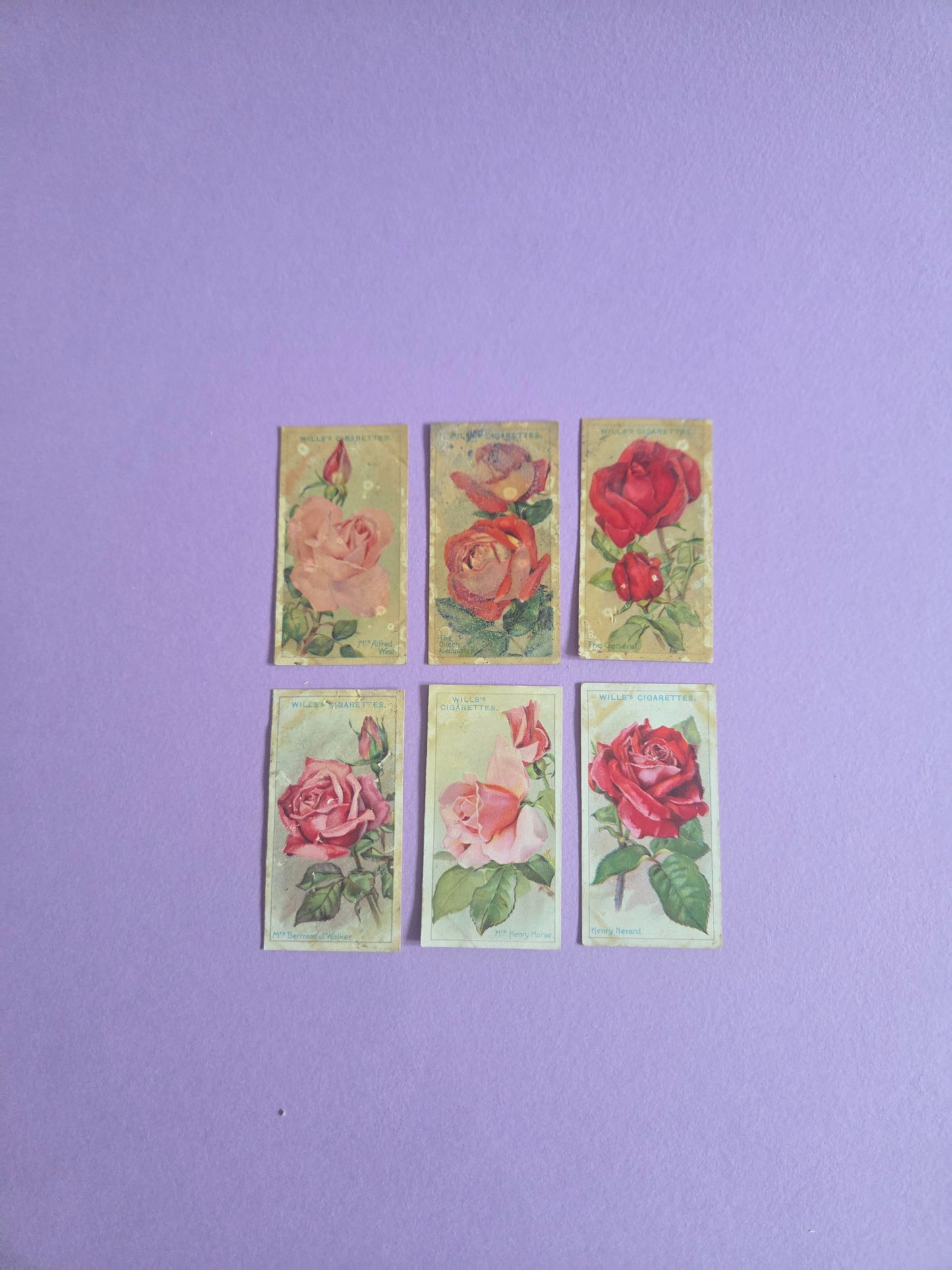 Vintage Rose Cigarette Tea Cards Bundle 4 – Wills “Roses” Collectible Ephemera for Junk Journals & Scrapbooks