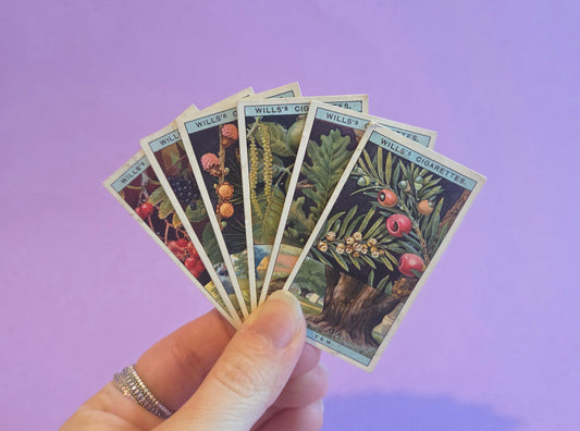 Vintage Flowering Trees & Shrubs Cigarette Tea Cards Bundle 1 – Botanical Ephemera for Junk Journals & Scrapbooks