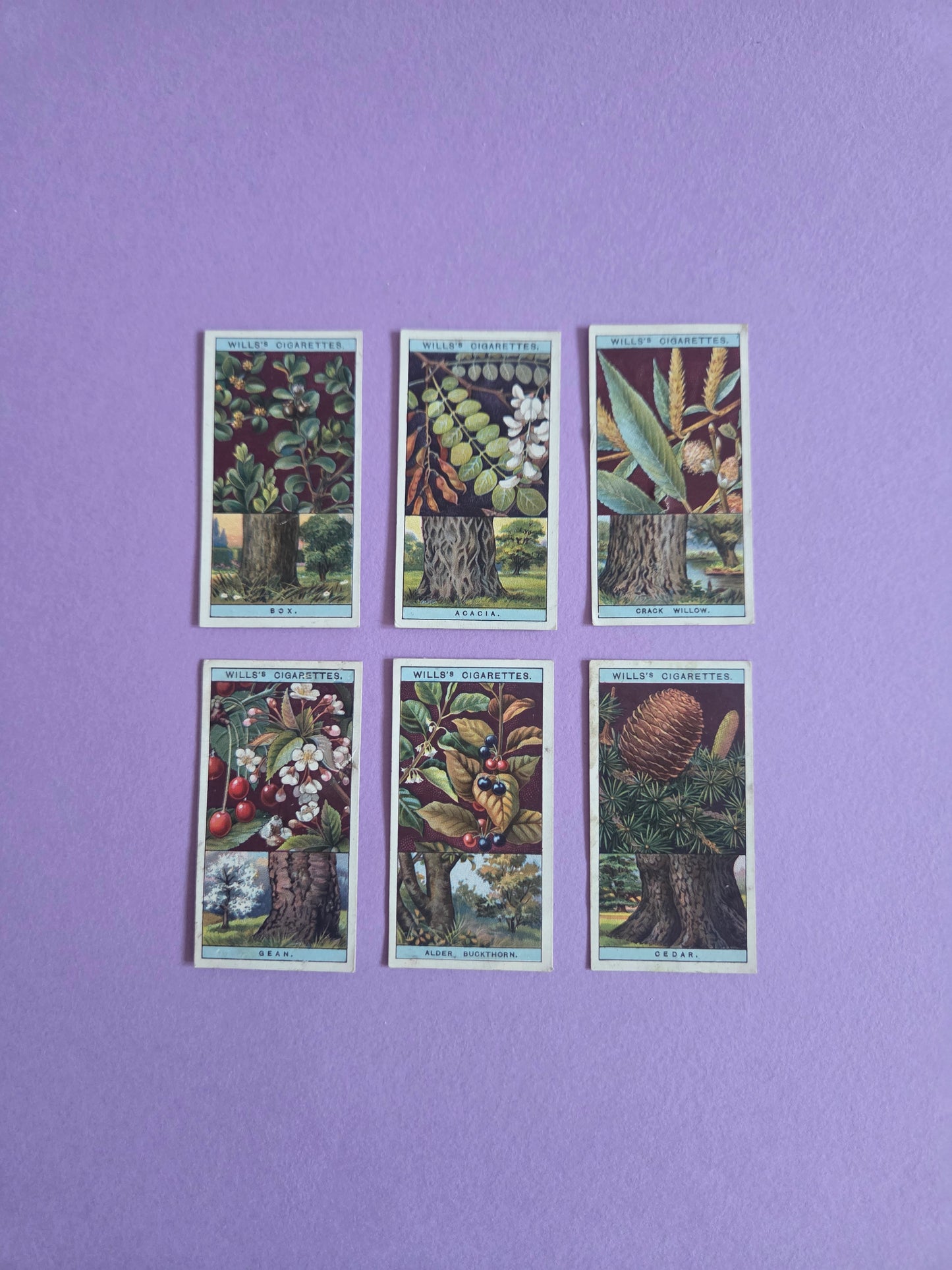 Vintage Flowering Trees & Shrubs Cigarette Tea Cards Bundle 2 – Botanical Ephemera for Junk Journals & Scrapbooks