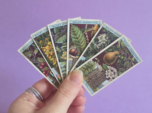 Vintage Flowering Trees & Shrubs Cigarette Tea Cards Bundle 3 – Botanical Ephemera for Junk Journals & Scrapbooks