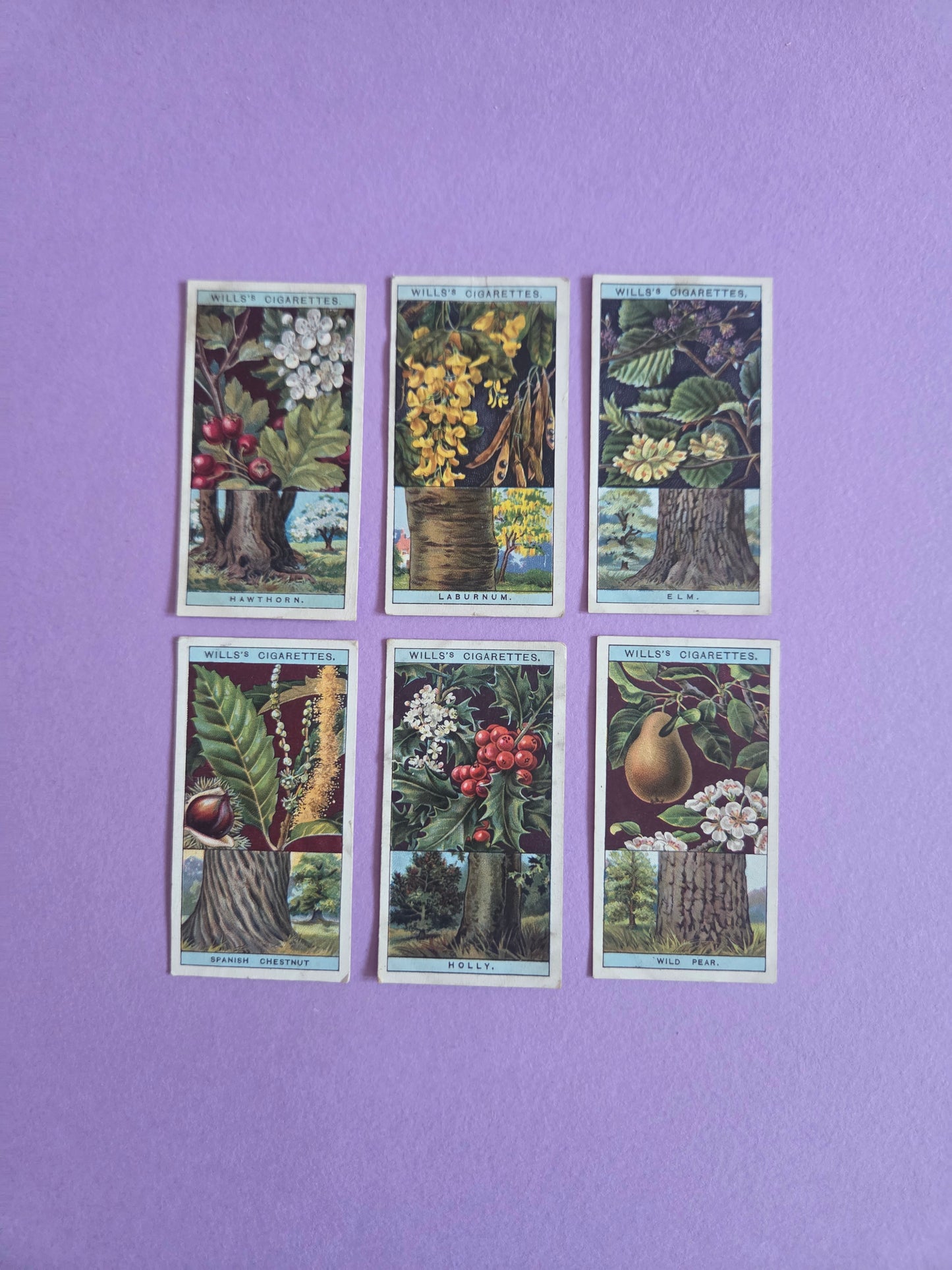 Vintage Flowering Trees & Shrubs Cigarette Tea Cards Bundle 3 – Botanical Ephemera for Junk Journals & Scrapbooks