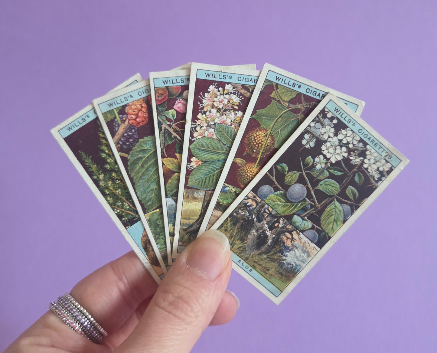 Vintage Flowering Trees & Shrubs Cigarette Tea Cards Bundle 4 – Botanical Ephemera for Junk Journals & Scrapbooks
