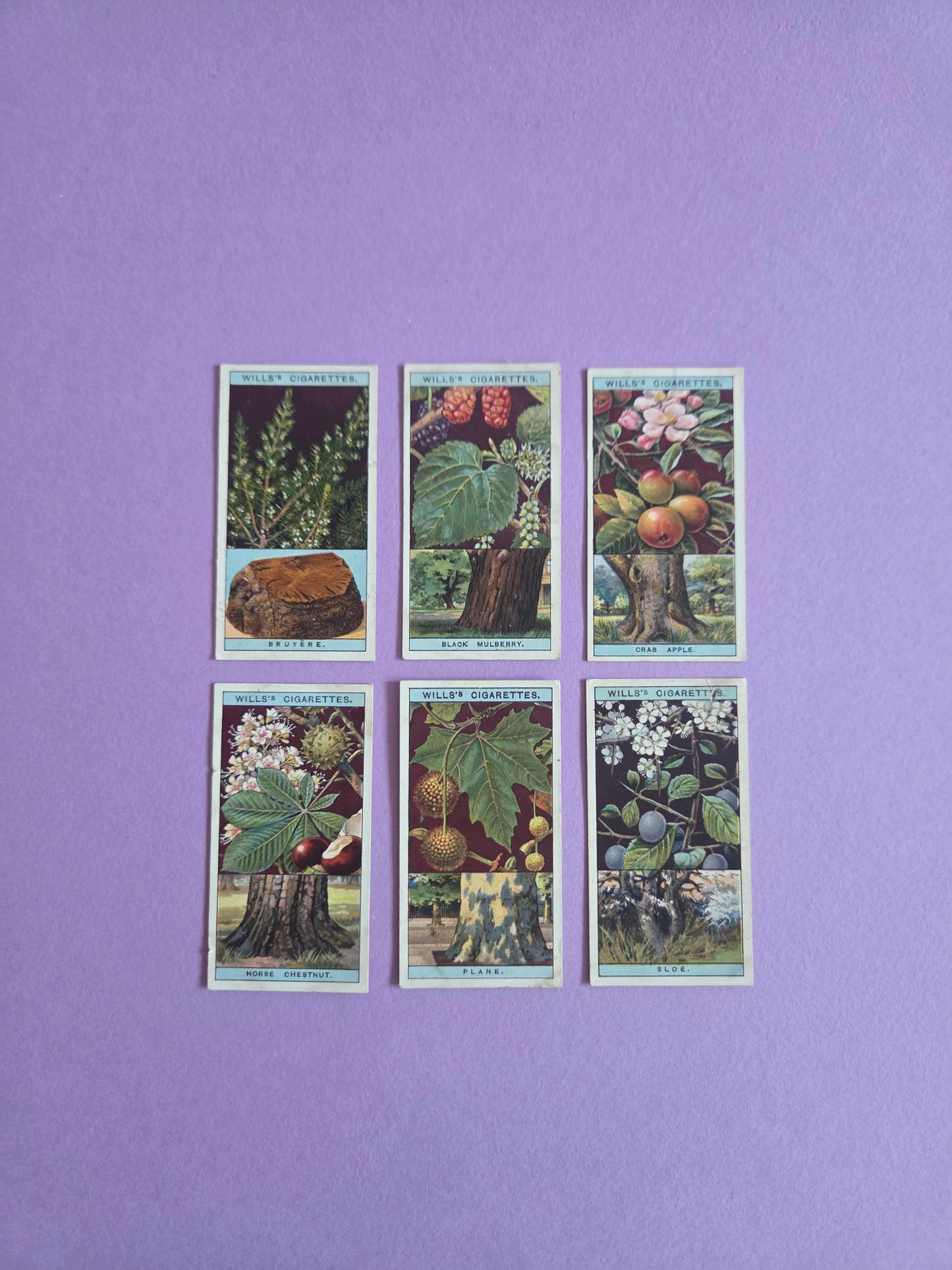 Vintage Flowering Trees & Shrubs Cigarette Tea Cards Bundle 4 – Botanical Ephemera for Junk Journals & Scrapbooks