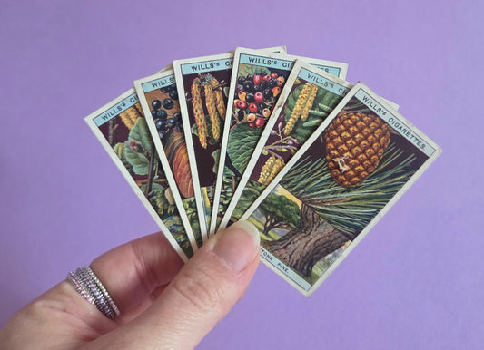 Vintage Flowering Trees & Shrubs Cigarette Tea Cards Bundle 5 – Botanical Ephemera for Junk Journals & Scrapbooks