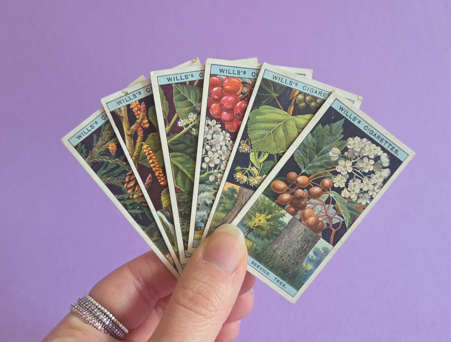 Vintage Flowering Trees & Shrubs Cigarette Tea Cards Bundle 6 – Botanical Ephemera for Junk Journals & Scrapbooks