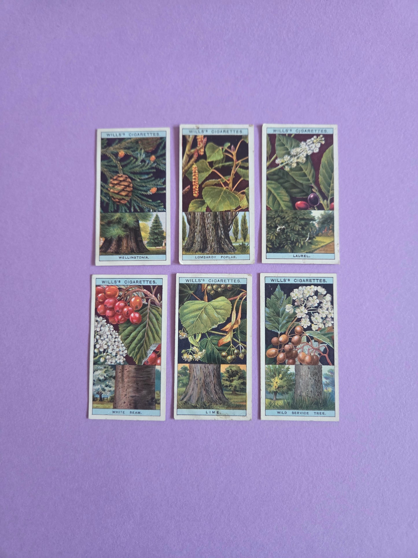 Vintage Flowering Trees & Shrubs Cigarette Tea Cards Bundle 6 – Botanical Ephemera for Junk Journals & Scrapbooks