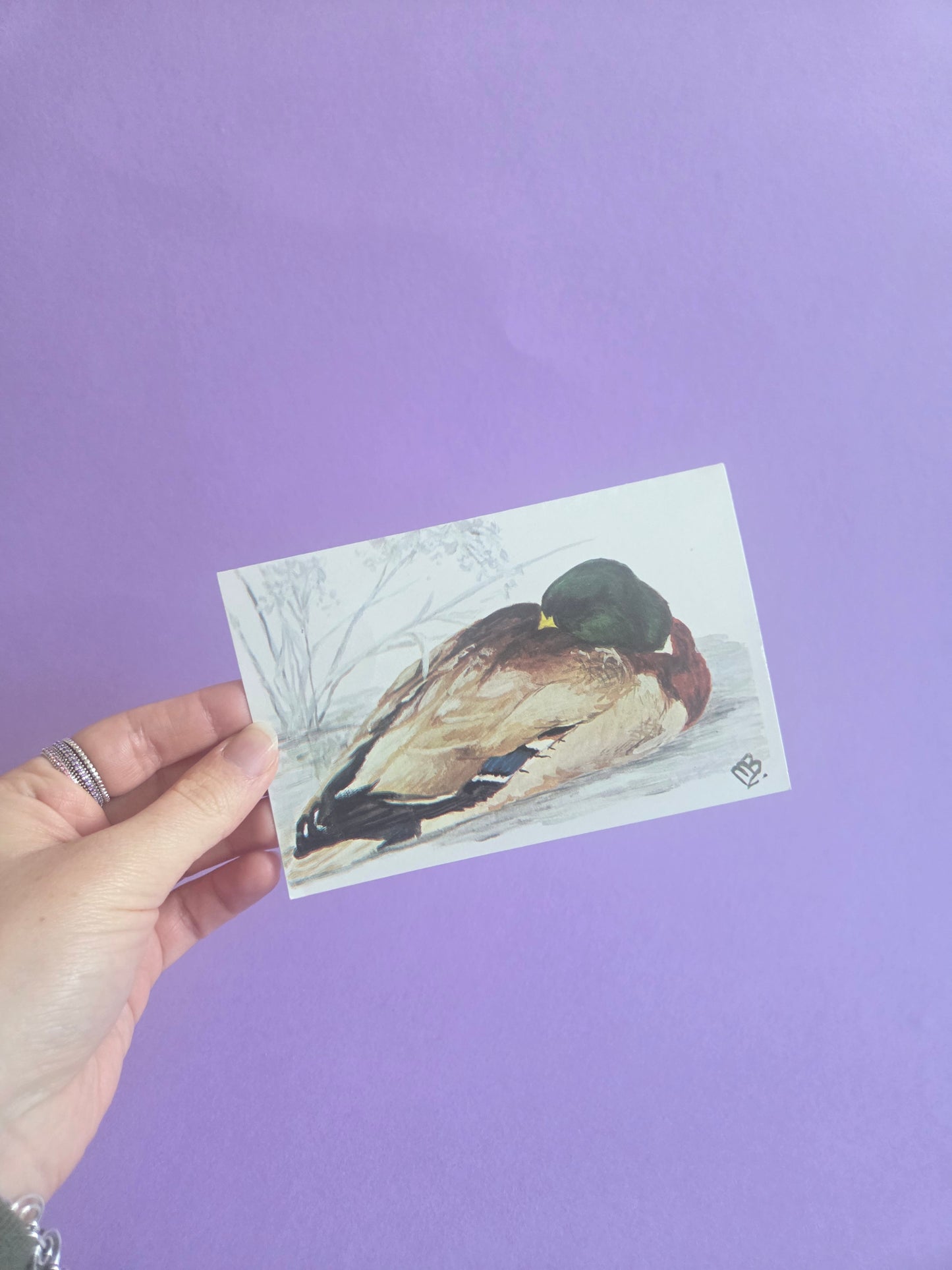 Vintage Duck Greeting Card – Hand-Painted Art Print by My Mum – A6 with Envelope