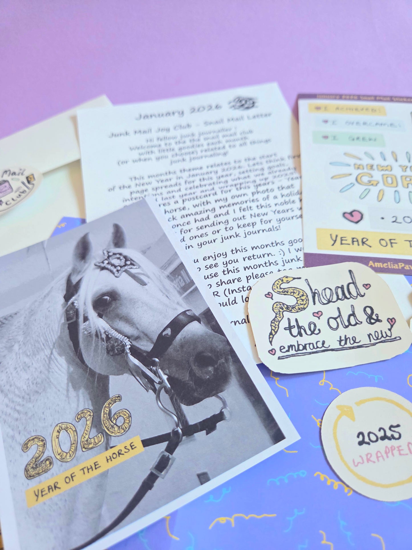 Amelia's Junk Mail Joy Club - Snail Mail ✨️ - UK - January’s Year Of The Horse 🐎