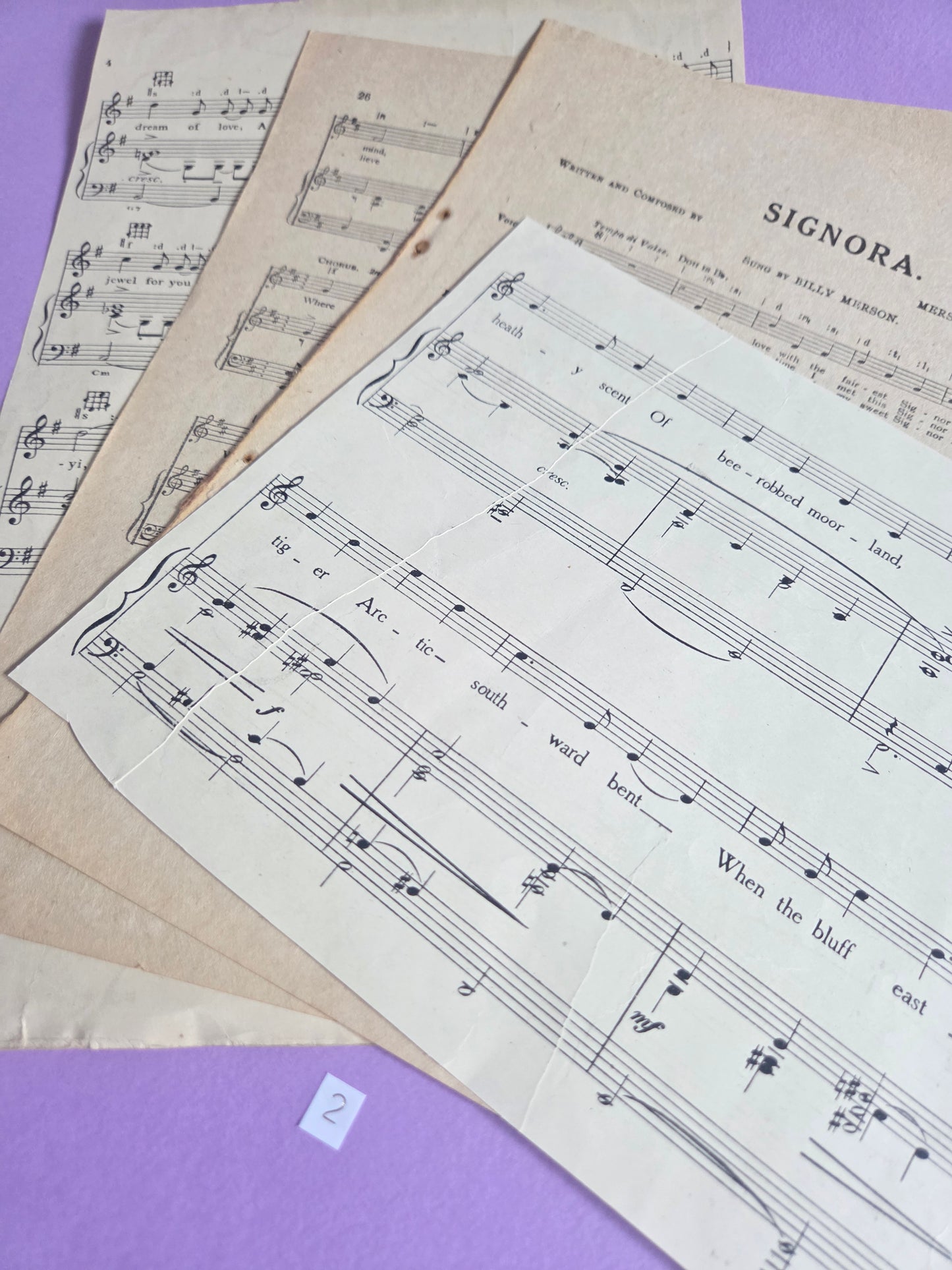 Set of 4 SIGNORA Large Vintage Music Sheet Ephemera Bundle – Set of 5 Authentic Hymn & Sheet Music Pages | Antique Paper for Junk Journals, Scrapbooking, Collage & Craft Projects | Limited Edition (SET 2)